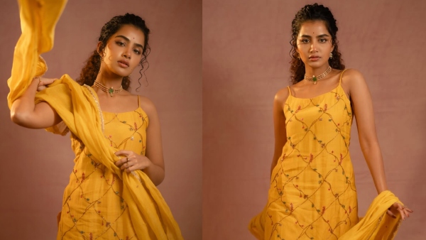 Seven Films One Year Southern Star Anupama Parameswaran Shatters Records