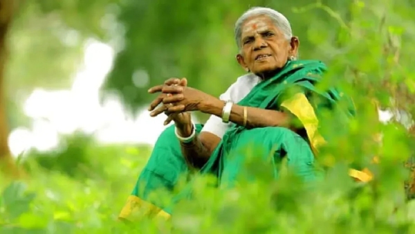 Pawan Kalyan Mourns Mother of Trees Saalumarada Thimmakka Passes Away at 114