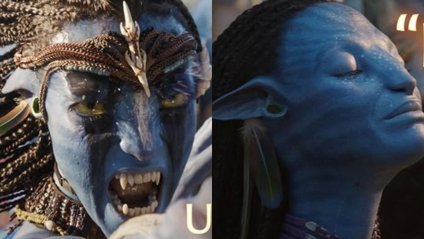 Avatar 3 Day 2 Collection James Cameron s Sci-Fi Underwhelming Jump Nears 50 Cr India
