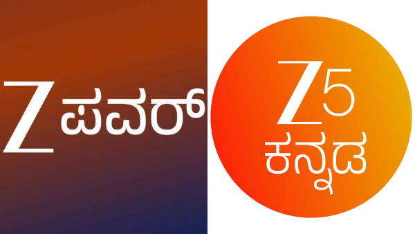 Zee Power reality show Halli Power Grand Finale telecast date and other details