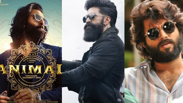 Animal Kabir singh to Toxic Films created buzz before Yash Movie Toxic