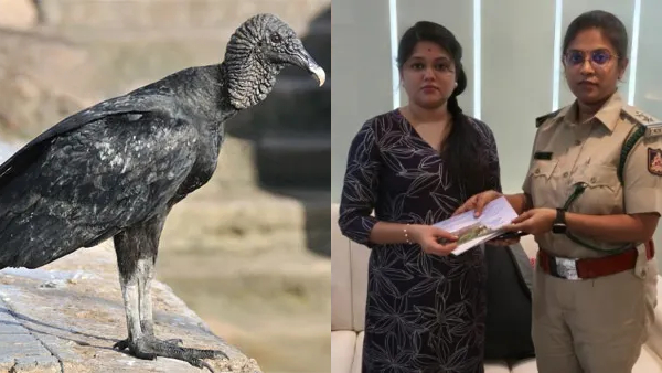 Before Bigg Boss Kannada 12 Finale reality show facing vulture controversy forest department issues notice