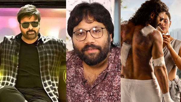 Buzz Chiranjeevi will be doing cameo in Sandeep Reddy Vanga Directed Prabhas Film Spirit