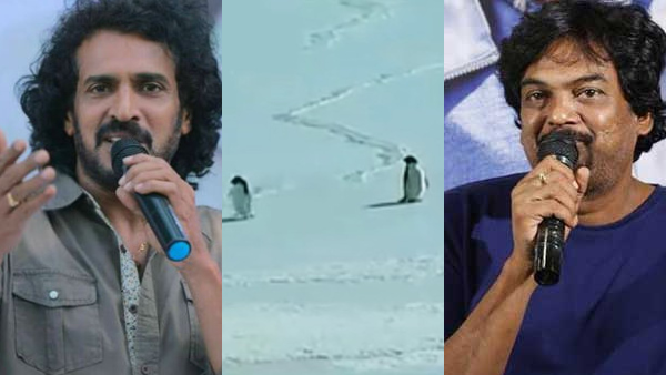 Why the Lone Penguin Video Is Trending Again From Werner Herzog s Documentary to Upendra Memes