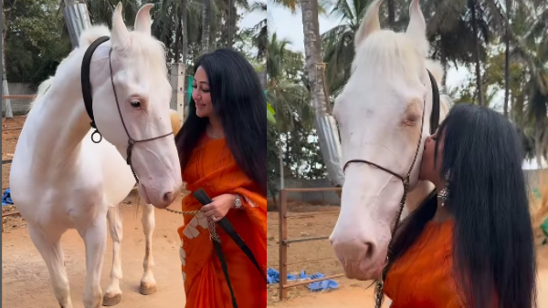 Vijayalakshmi Darshan with her horse White Prince goes viral on Sankranti Vijayalakshmi Darshan with her horse White Prince goes viral on Sankranti
