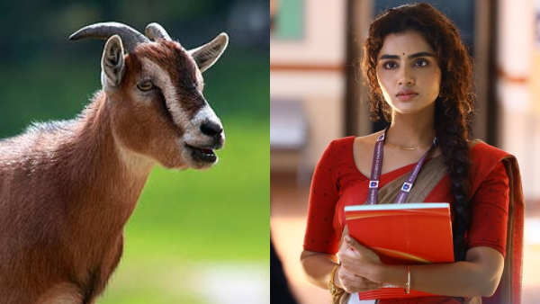 Anupama Parameswaran Reveals Why She Quit Non-Veg After Karthikeya 2 Set Incident Anupama Parameswaran Reveals Why She Quit Non-Veg After Karthikeya 2 Set Incident