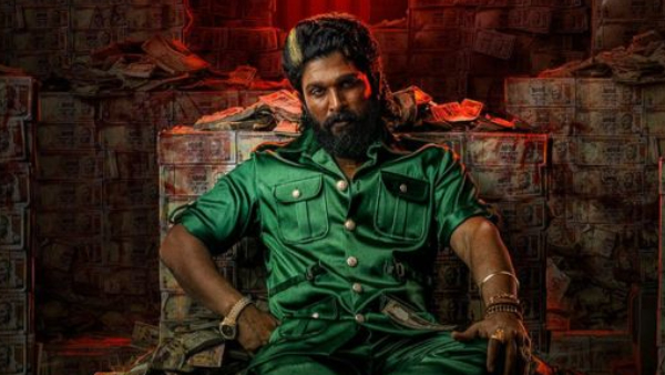 Allu Arjun Charges 30 Profit Share Per Film Could Earn 300 Crore for 1000 Crore Blockbuster