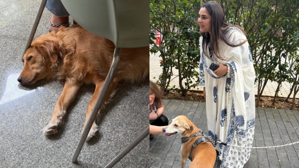 Ramya Breaks Down at Freedom Park Demands Justice for Bengaluru s Abducted Stray Dogs