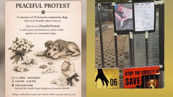 ramya-breaks-down-at-freedom-park-demands-justice-for-bengalurus-abducted-stray-dogs