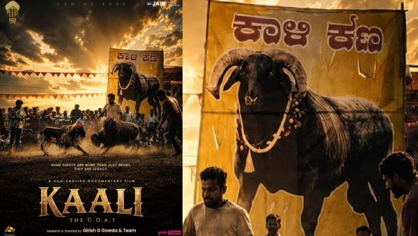 Documentary film on Famous Sheep Bellodi Kali in Kannada by Girish G Documentary film on Famous Sheep Bellodi Kali in Kannada by Girish G