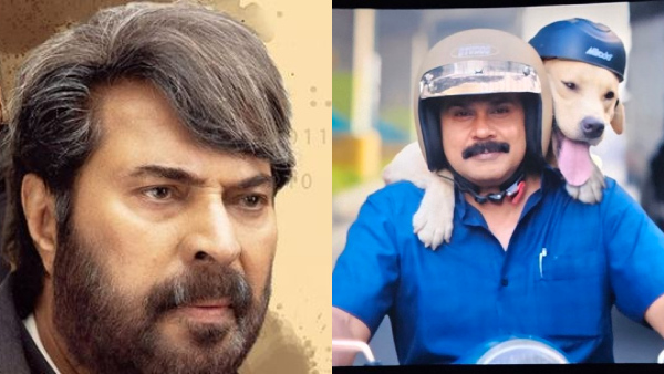 Best Malayalam Movies On OTT With Kannada Dubbing 2026 Trending In Bengaluru Best Malayalam Movies On OTT With Kannada Dubbing 2026 Trending In Bengaluru