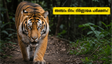 വെൽക്കം ടു ദി ജംഗിൾ: അഞ്ചാം ദിനത്തിലെ നിർണ്ണായക പരീക്ഷണം