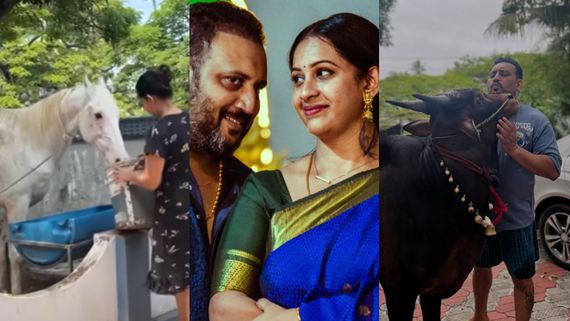 നായകൾ, ആട്, കാള, ഇപ്പോൾ കുതിരയും! വാടക വീടിന്റെ ഉടമ എങ്ങനെ സമ്മതിക്കുന്നു, മൃ​ഗശാലയല്ലല്ലോ? അർജുനോട് ചോദ്യങ്ങൾ