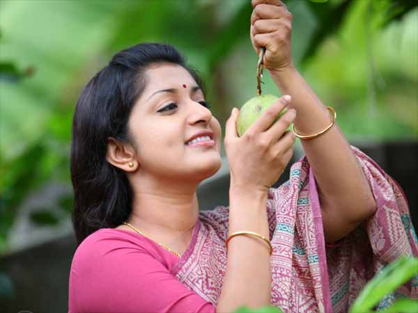 വിവാദങ്ങളൊഴിയാതെ മീര