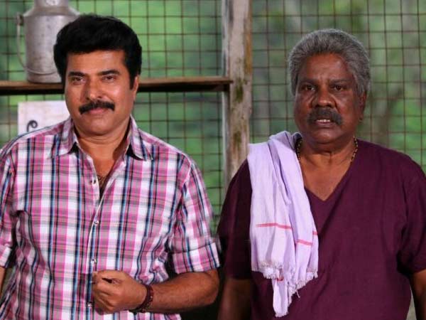 മമ്മൂട്ടി- മാള