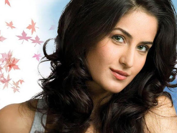 ബോളിവുഡിലേക്ക്