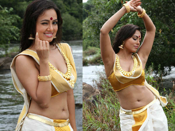 വിമര്‍ശനങ്ങളിലൂടെ ക്ലൈമാക്‌സ്