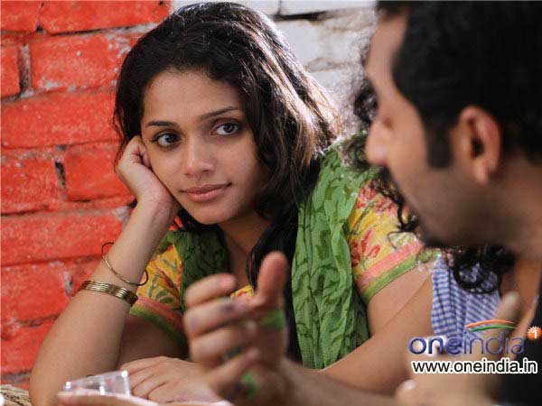 ആന്‍ അഗസ്റ്റിന്‍