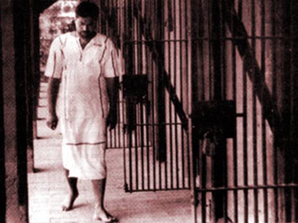 മതിലുകള്‍