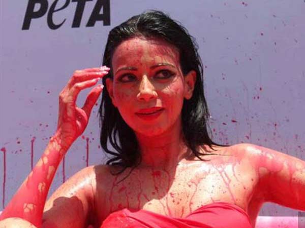 പെറ്റ മോഡല്‍