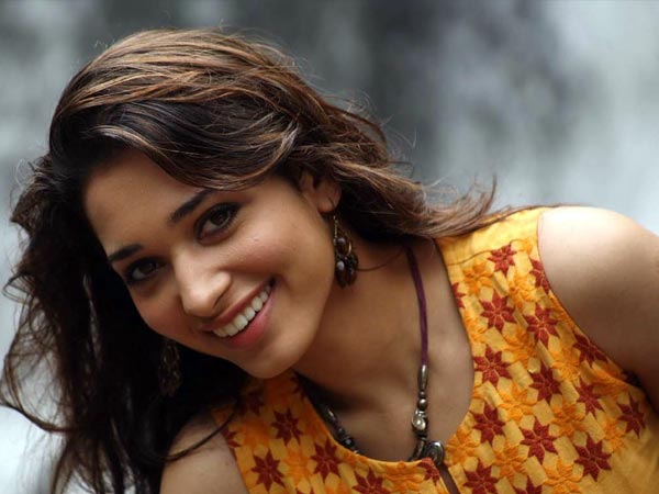 സ്റ്റില്‍ ക്യാമറ പാടില്ല