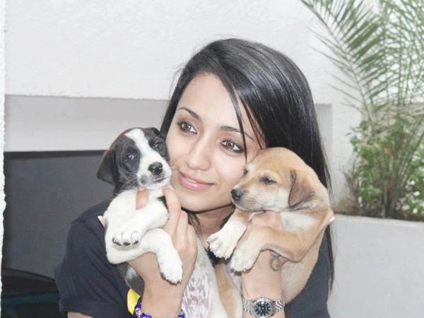 കുഞ്ഞുങ്ങള്‍