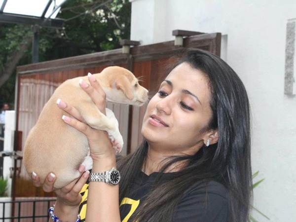 താരാട്ടോ