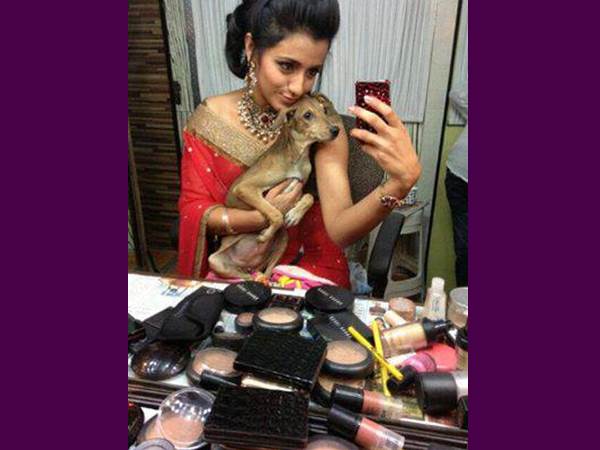 മേക്കപ്പ് പട്ടിക്കും?