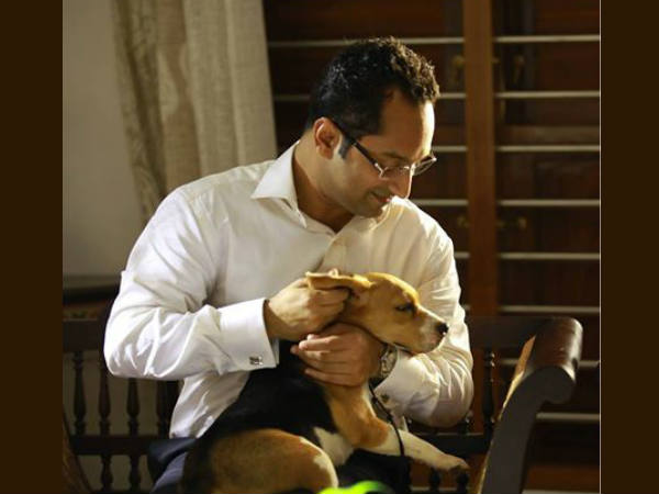 ചാപ്പാ കുരിശ്