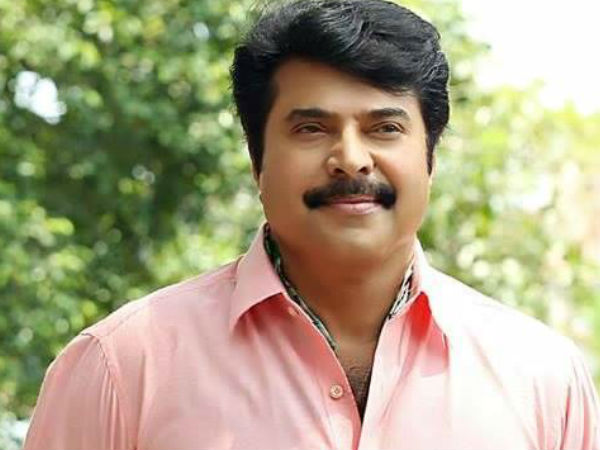 മമ്മൂട്ടിയുടെ 90 ദിവസം