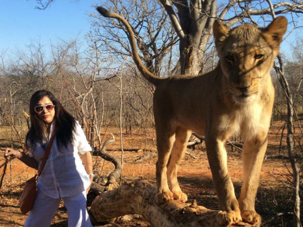 MG Sreekumar Lion4 MG Sreekumar Lion4