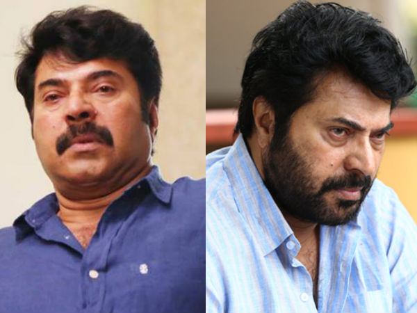 ഒരേ ഒരു മമ്മൂട്ടി