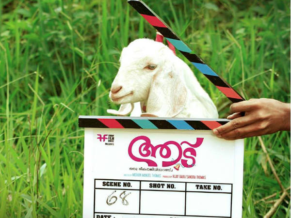 പിങ്കിയാണ് താരം