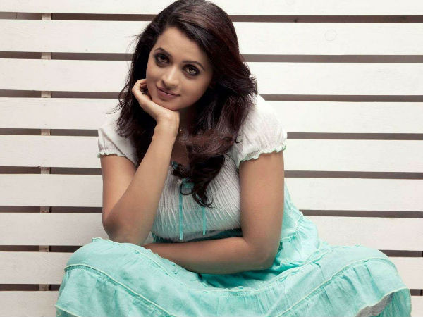 ഒരു കൂട്ടുള്ളത് നല്ലതാണ്