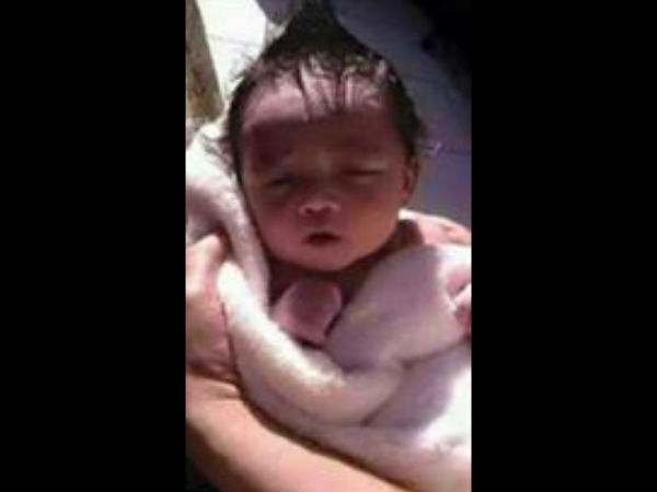 ഇതാണ് വാവ