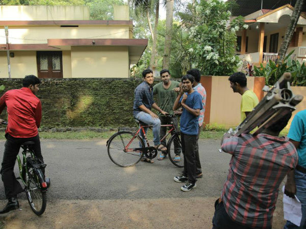 കോഴികള്‍