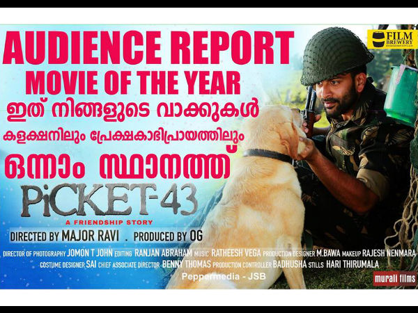 പിക്കറ്റ് 43