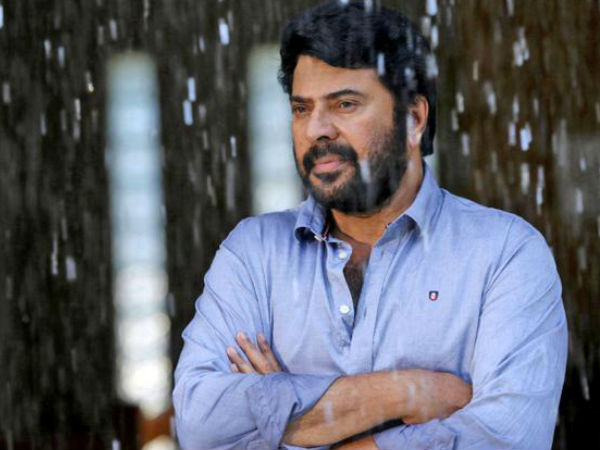 മമ്മൂട്ടി