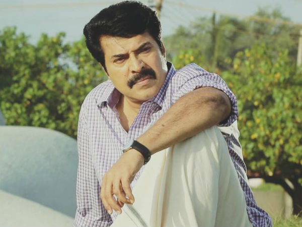 മമ്മൂട്ടി- അഡ്വ. ലൂയീസ് പോത്തന്‍