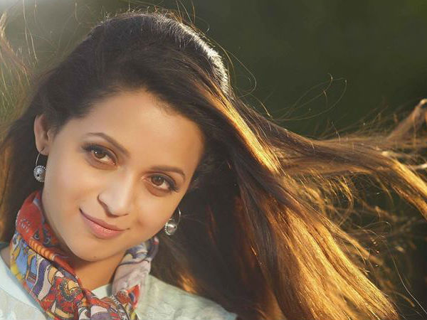 നായകന്മാരുടെ കാര്യം