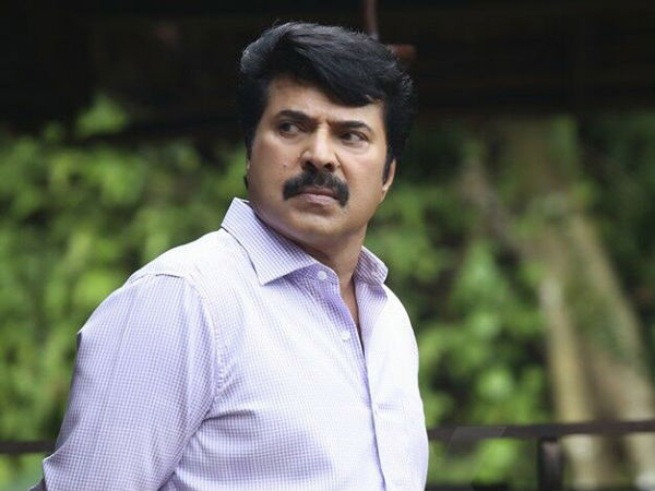 മമ്മൂട്ടി