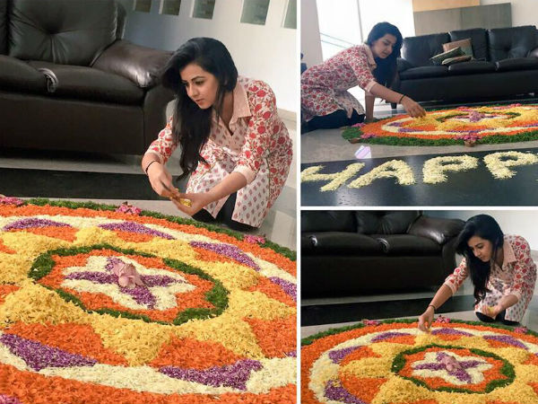 നിക്കി ഗല്‍റാണി