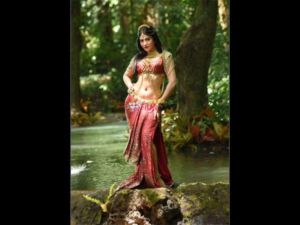 മറ്റ് കളക്ഷന്‍സ്