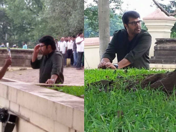 ഈ ആല്‍മരം