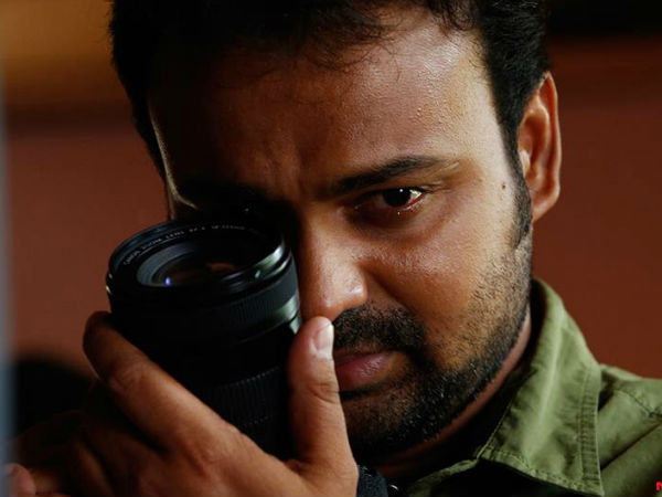 വലിയ ചിറകുള്ള പക്ഷികള്