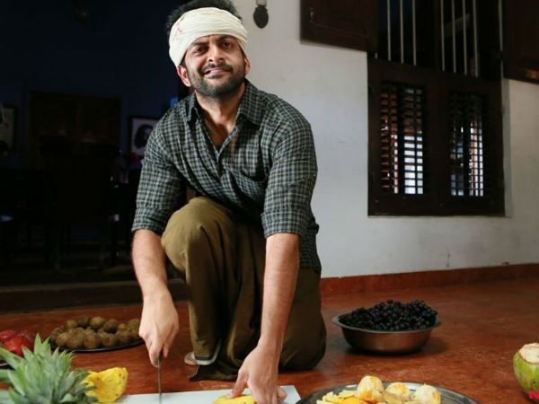 ഒരു ലക്ഷ്യവുമില്ലാത്ത ചെറുപ്പക്കാരന്‍