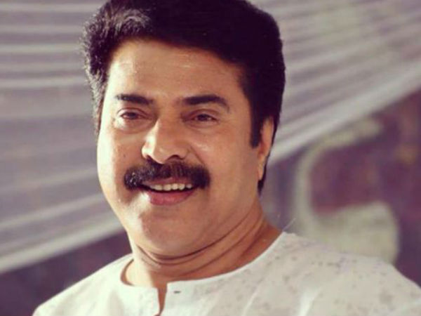 മമ്മൂട്ടി