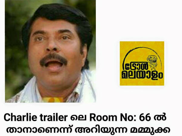 മമ്മൂട്ടിയോ?