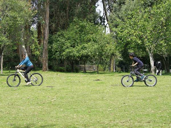  ചില വെല്ലുവിളികള്‍