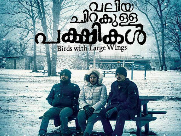 വലിയ ചിറകുള്ള പക്ഷികള്